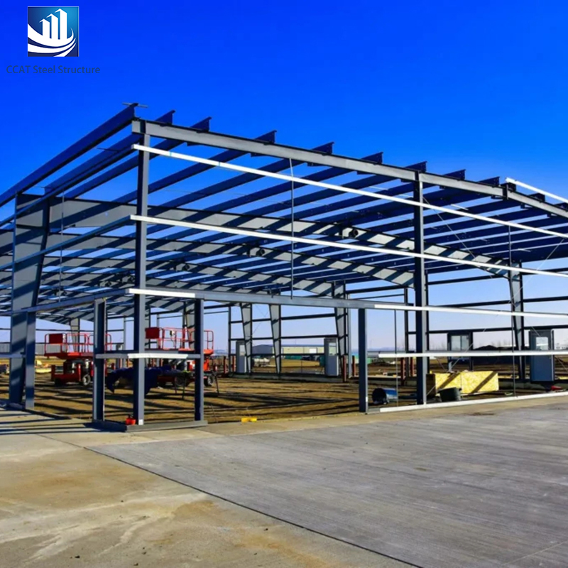 Modern Design Small Prefab Steel Structure Shed Storage Buildings Warehouse Frame