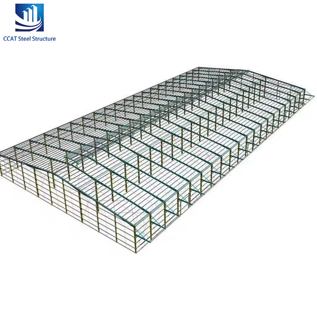 Customized Shed Wide Span Roof Industrial Steel Structure Building With Design