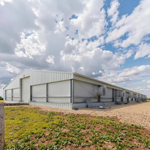 Custom Steel Structure Manufacturer | Industrial Steel Building & Frame Factory